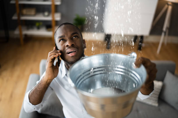 Best 24/7 water damage repair  in Millington, NJ