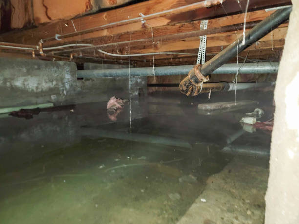 Best Basement water damage restoration  in Millington, NJ