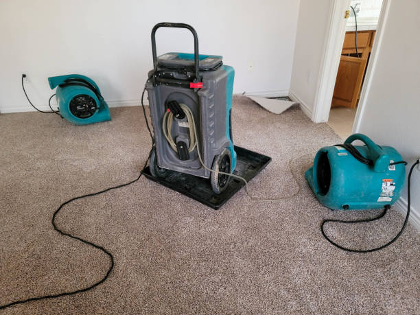 Best Commercial water damage restoration  in Millington, NJ