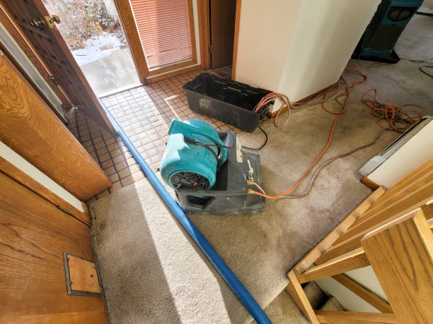 Water damage restoration process in Millington, NJ