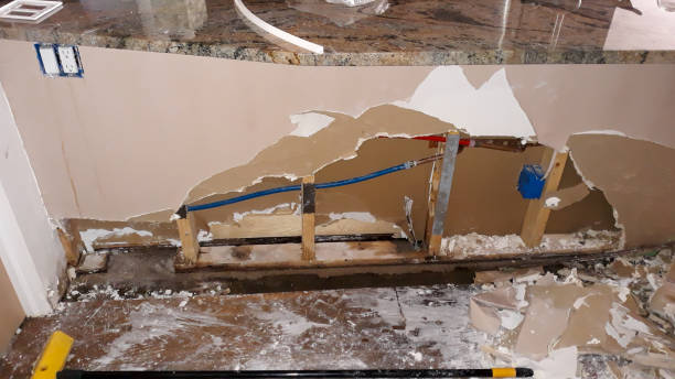 Best Water damage repair service  in Millington, NJ