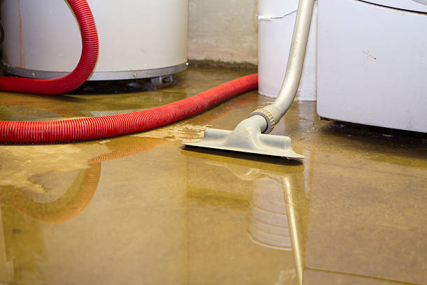 Best Water damage restoration near me  in Millington, NJ