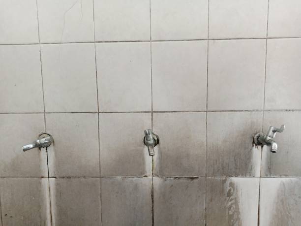 Best Sewage cleanup and water damage restoration  in Millington, NJ