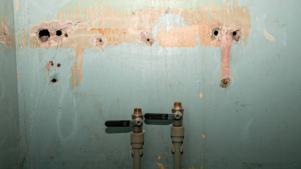 Best Emergency water damage restoration  in Millington, NJ