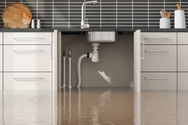 Best Ceiling water damage repair  in Millington, NJ