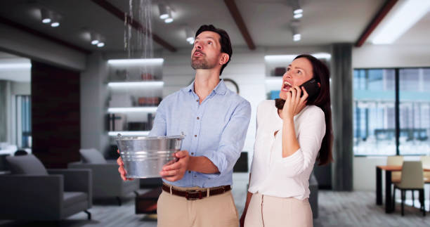 Best Flooded house restoration  in Millington, NJ